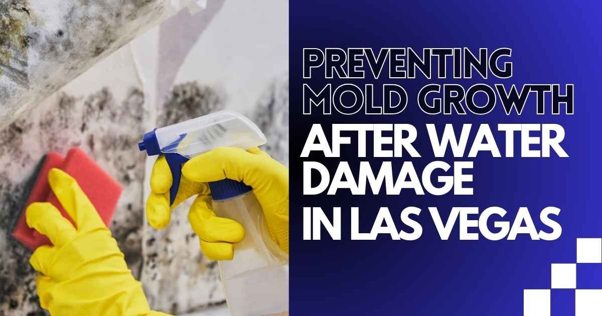 Preventing Mold Growth After Water Damage in Las Vegas