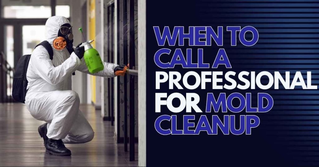 When to Call a Professional for Mold Cleanup