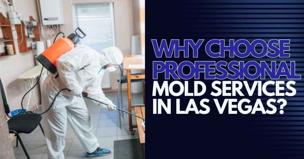 Why Choose Professional Mold Services in Las Vegas?