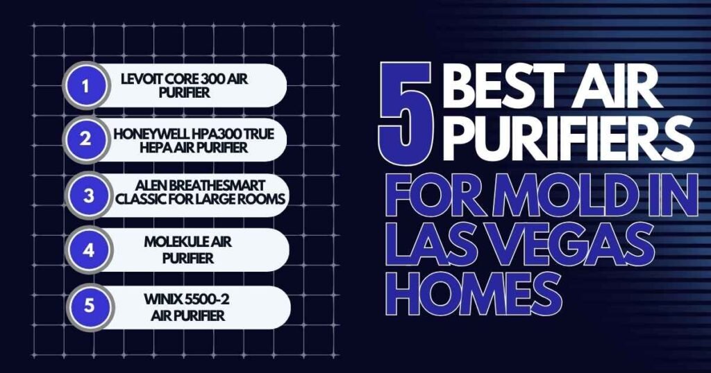 5 Best Air Purifiers for Mold in Las Vegas Homes