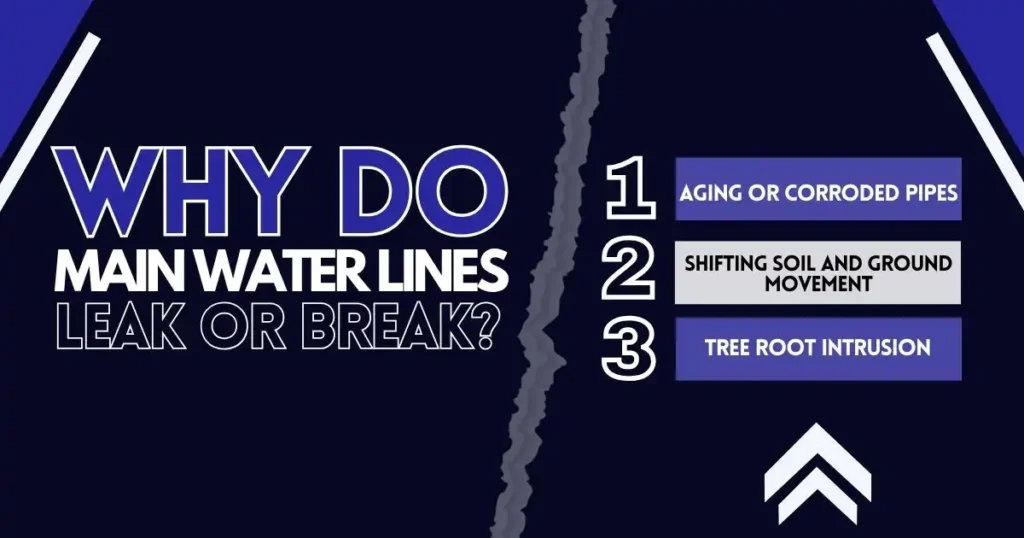 Aging or Corroded Pipes, Shifting Soil and Ground Movement and Tree Root Intrusion