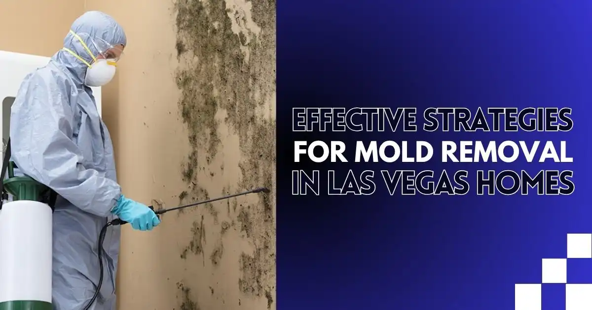 Effective Strategies for Mold Removal in Las Vegas Homes
